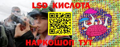 a pvp Кимры