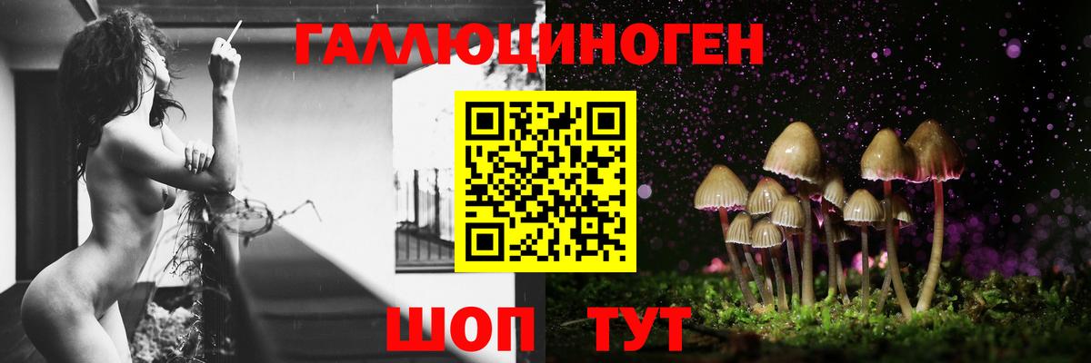 Галлюциногенные грибы Psilocybine cubensis Котельники