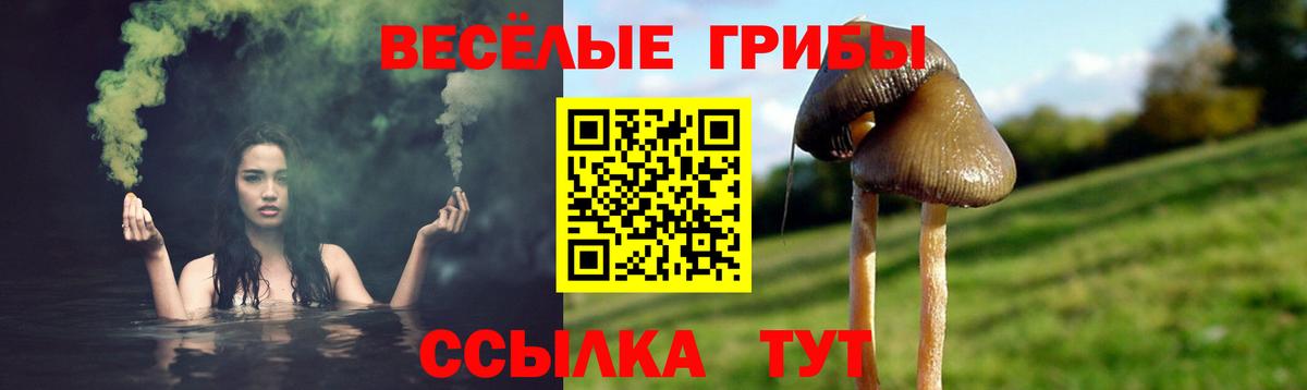 Галлюциногенные грибы ЛСД  Псилоцибиновые грибы мицелий  Вход с VPN  Котельники 